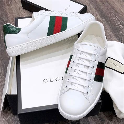 deportivos gucci hombre|zapatillas Gucci.